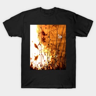 Ferns and Branches T-Shirt